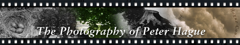 The Photography of Peter Hague &ndash; nature